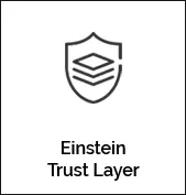 Einstein Trust Layer