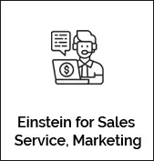 Einstein for Sales/Service/Marketing